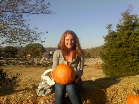 Pumpkin farm