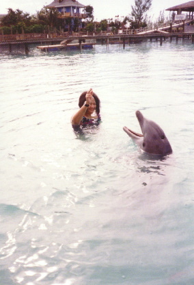 Dolphin Training