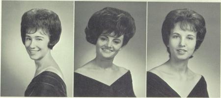 Virginia Brigman's Classmates profile album