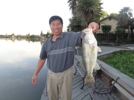 Stockton, CA - Largemouth Bass - 2015