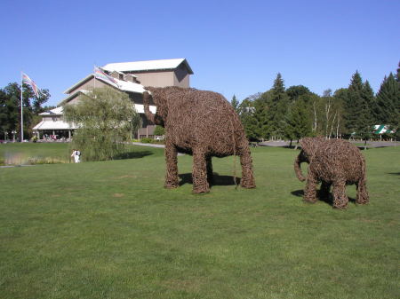 Front Lawn at the  Glimmerglass Opera House