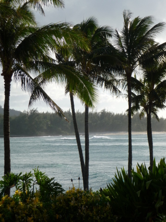 Turtle Bay, Oahu