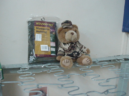 Teddy on Army bunk at IDF Base