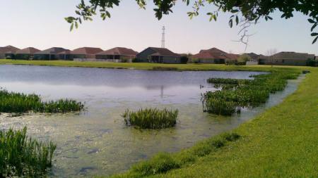 My Backyard lake view photo