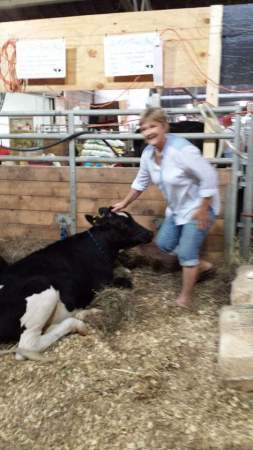 I love the Iowa State Fair. 