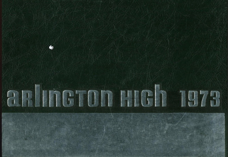 Michael S. Cook's album, Arlington High School Reunion