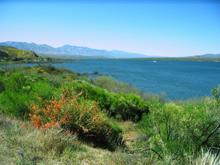 Roosevelt Lake Area