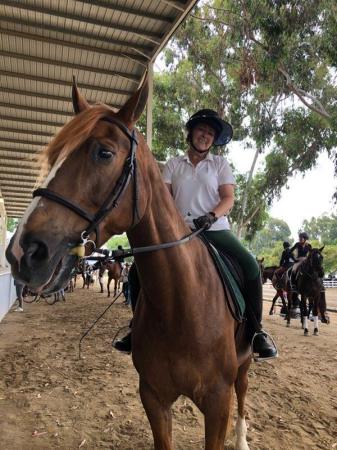 Sparky at Showpark, Del Mar CA