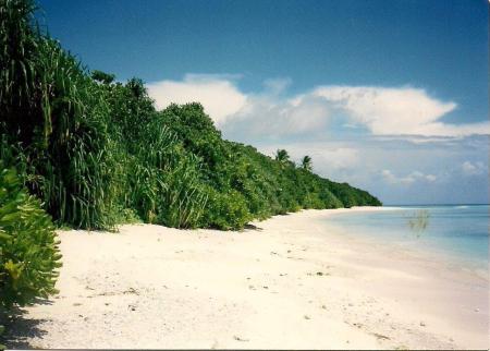 Pacific Island