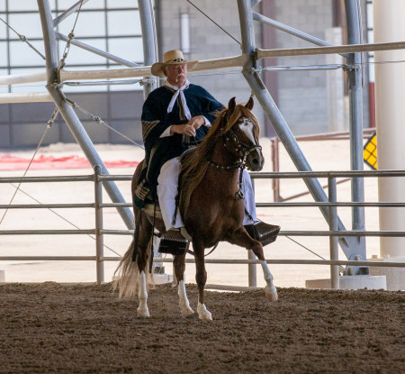 Mike Powers' album, My New Stallion - JAP Constantino