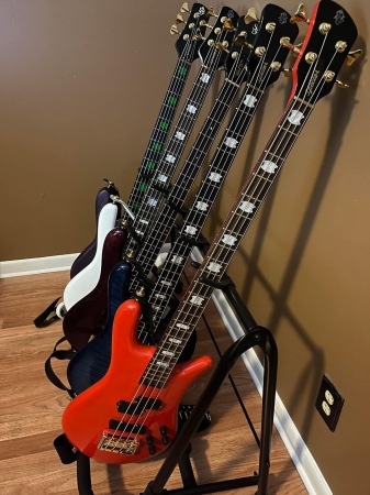 Rack of Spector Basses