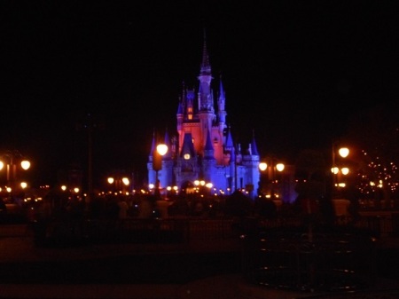 Disney at Night