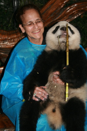 Pandas in Chendu