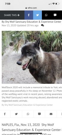 Yuki passed away after 3 yrs with blood cancer