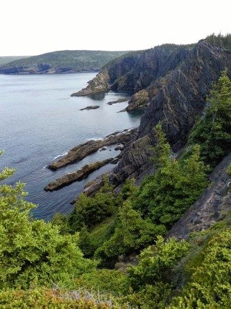 Hiking near our Newfoundland home -- Aug. 2021