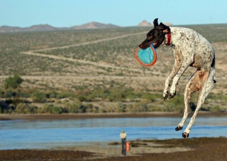 Mocha flying high