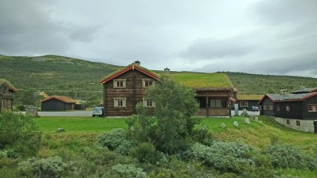 Traditional Turf Roof Building