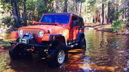 Mike and his '03 TJ