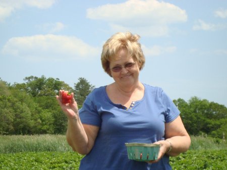 Strawberry Pickin, Fenwick, DE 2011