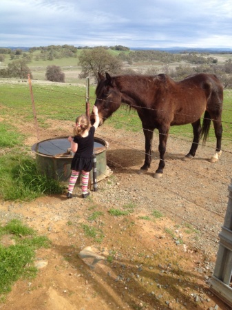 Learning to love horses