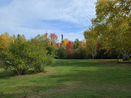 Fall is here in Northwest Wisconsin.