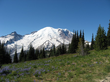 Hiking at Mt. Rainier