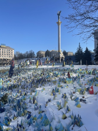 A sad memory garden of blue and yellow 