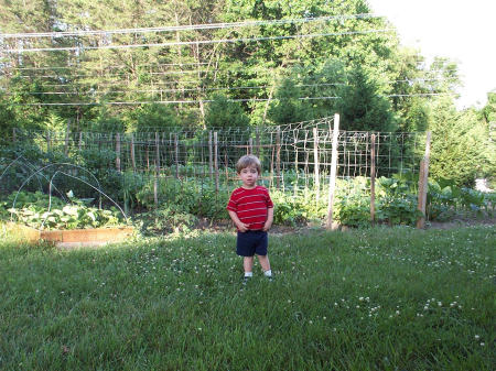 Our Victory Garden