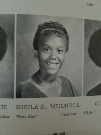 Sheila Ellison's Classmates profile album