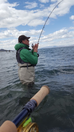 Fish on! Pyramid Lake, Nevada, April 2016