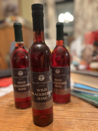 Our homemade wild blackberry wine 2023