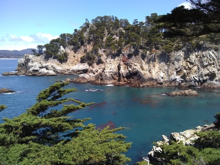 Point Lobos, June 2021