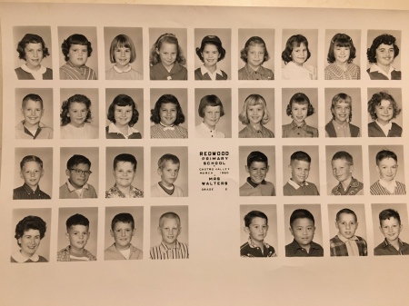 John Nolan's album, Redwood Elem