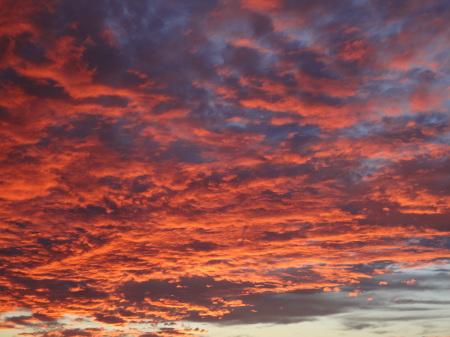 Texas sunset