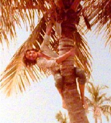Miami Beach 1972