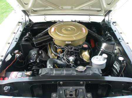 64 1/2 Mustang engine