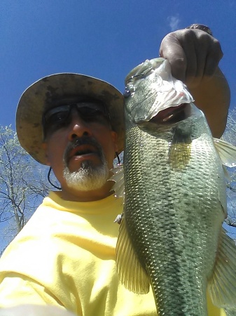 Kansas Large Mouth