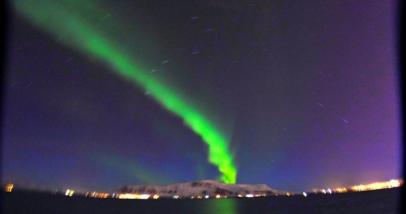 Northern lights Reykjavík outer Harbor