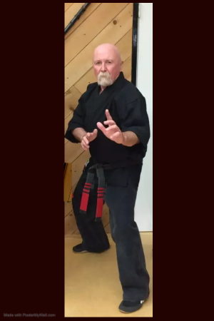50 years in the martial arts