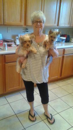 Candy Brockman with her two sweet 2 sweet dogs