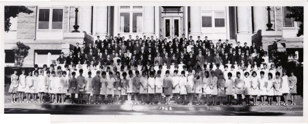 1968 Grad Photo
