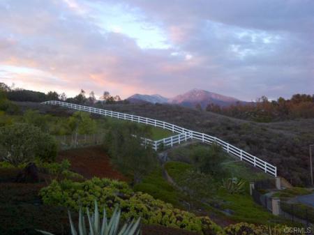 Back Yard, Coto de Caza