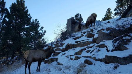 Home away from home. Estes Park, CO 2017