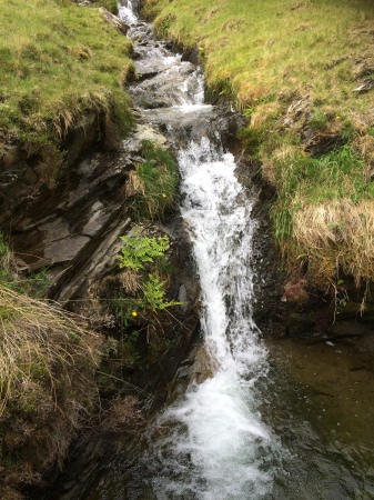 C. Heather Maguire's album, Ireland