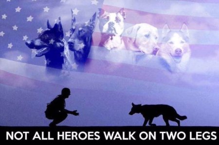 Not All Heroes Walk On Two Legs