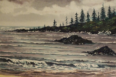 "Stormy Tofino"