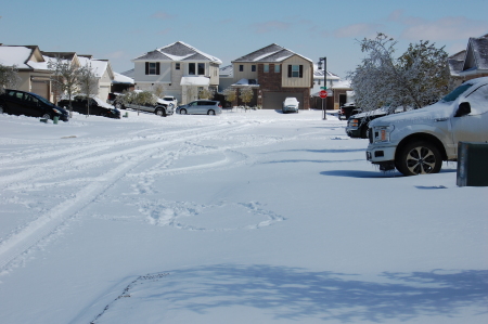 Snow in Texas FEB. 2021