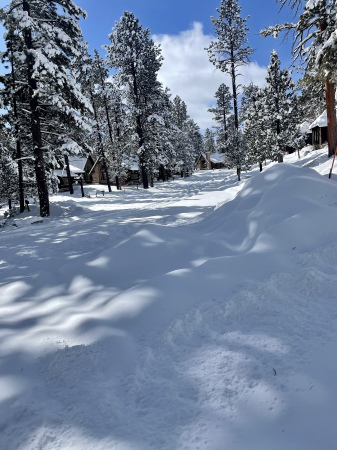 Road to the Cabins at Bryce National Park