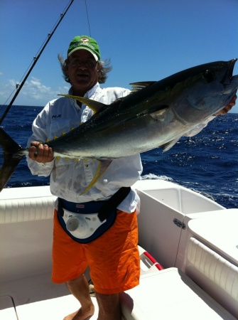 yellow fin tuna