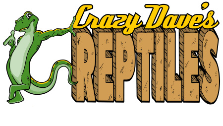 My Reptile Hobby